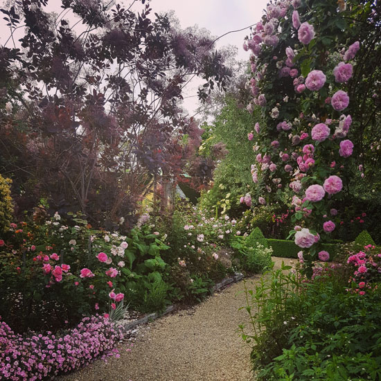 Laure-Davoust-and-Lady-Alexander-of-Kent_web