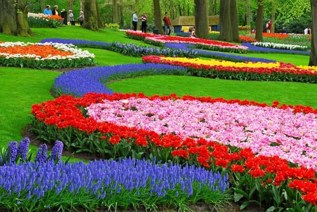 What Are Garden Tours