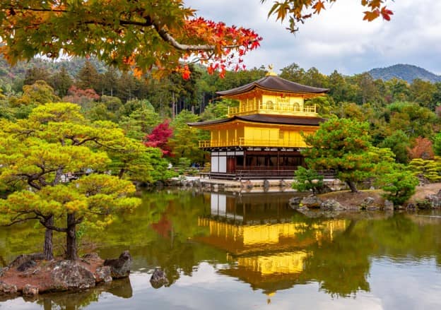 Specialist Garden Tours